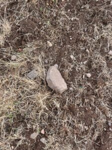Unterschiedliche Gesteinsformationen in Weinbergen des Elsass